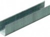 Скобы STAYER, 
